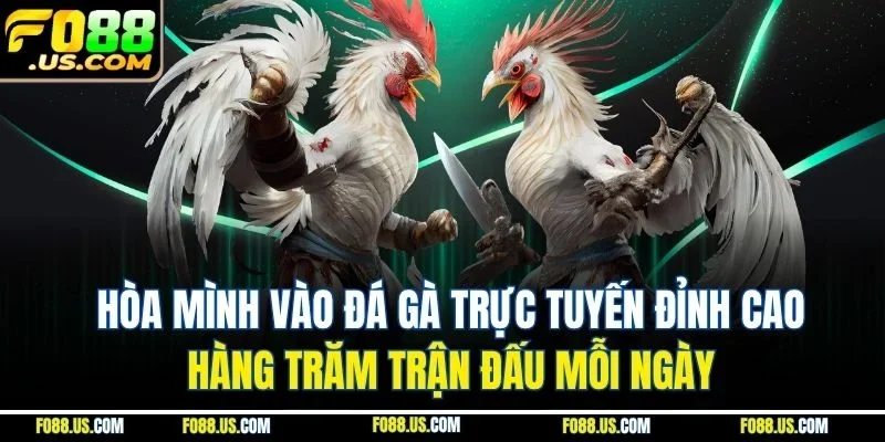 Hòa mình vào đá gà trực tuyến đỉnh cao, hàng trăm trận đấu mỗi ngày Hòa mình vào đá gà trực tuyến đỉnh cao, hàng trăm trận đấu mỗi ngày