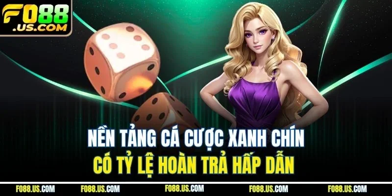 Nền tảng cá cược xanh chín có tỷ lệ hoàn trả hấp dẫn Nền tảng cá cược xanh chín có tỷ lệ hoàn trả hấp dẫn